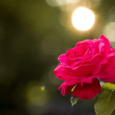 Przy Kamiennej Chacie Apartamento *